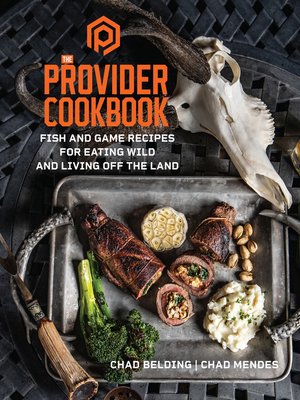 cover image of The Provider Cookbook